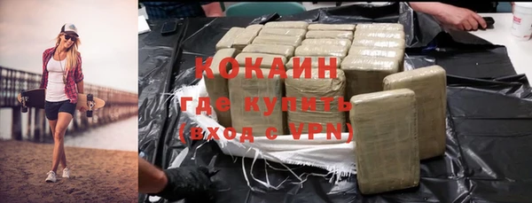 гидра Богородицк