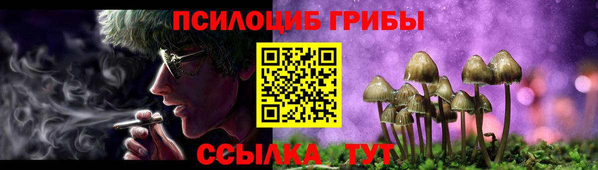 Псилоцибиновые грибы GOLDEN TEACHER  Вход с VPN  Луга  Псилоцибиновые грибы мухоморы 