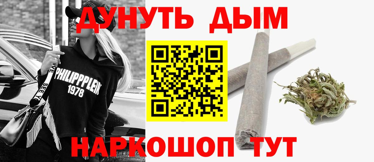 Конопля конопля  Шишки марихуана Bruce Banner  Луга 